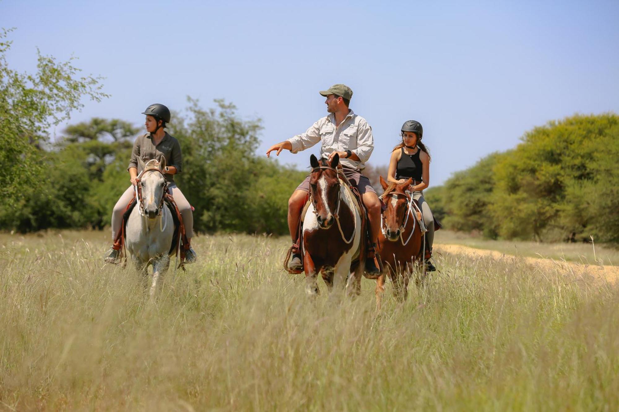 Otjiwa Safari Lodge Otjiwarongo Zewnętrze zdjęcie
